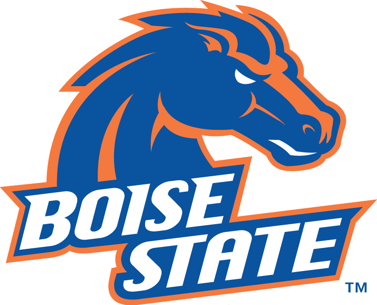 Boise State Broncos 2002-2012 Primary Logo iron on transfers for T-shirts